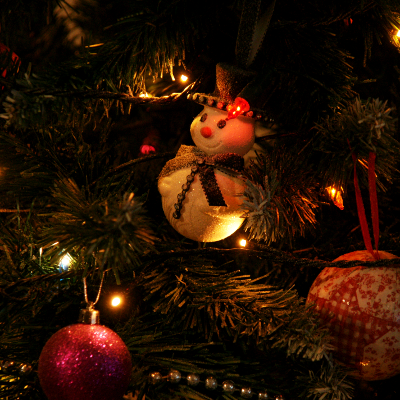 Christmas Tree 4, par Xavier E. G. Dierick
